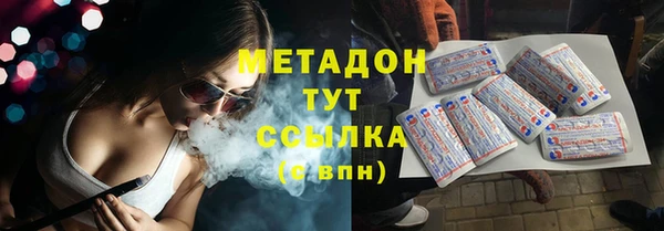 шишки Корсаков