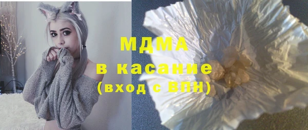 шишки Корсаков
