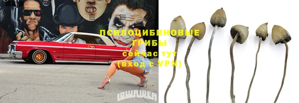 каннабис Коряжма