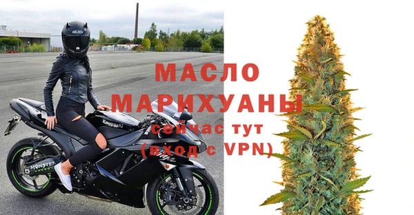 шишки Корсаков