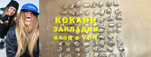 шишки Корсаков
