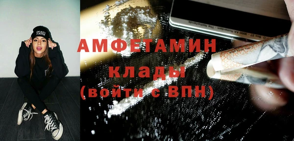шишки Корсаков
