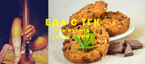 шишки Корсаков