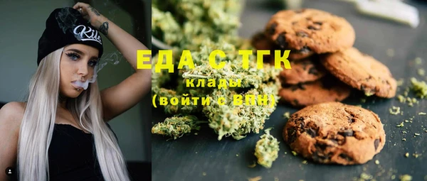 шишки Корсаков