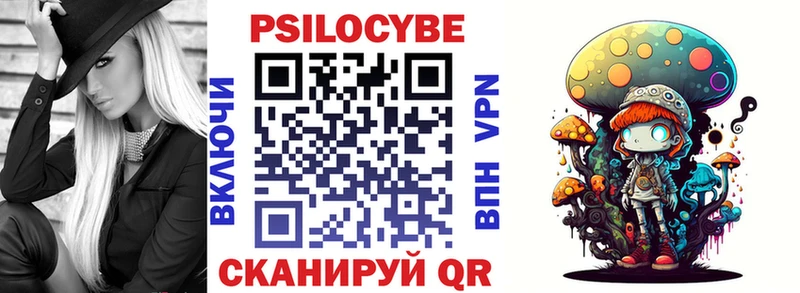 Псилоцибиновые грибы Psilocybine cubensis  Купить где  Тутаев 